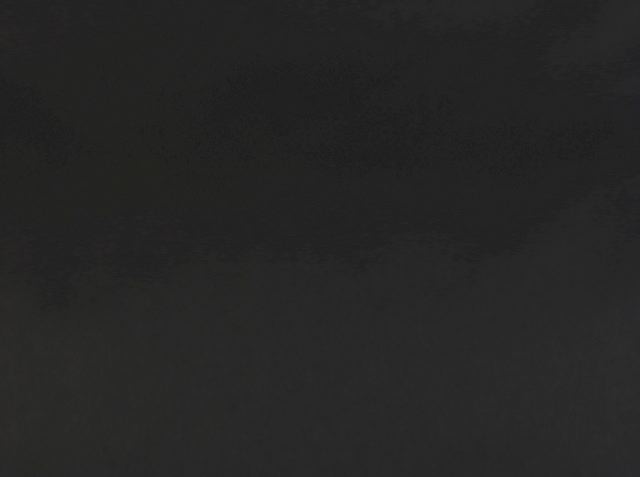 Background Choices - Damianos PhotographyDamianos Photography