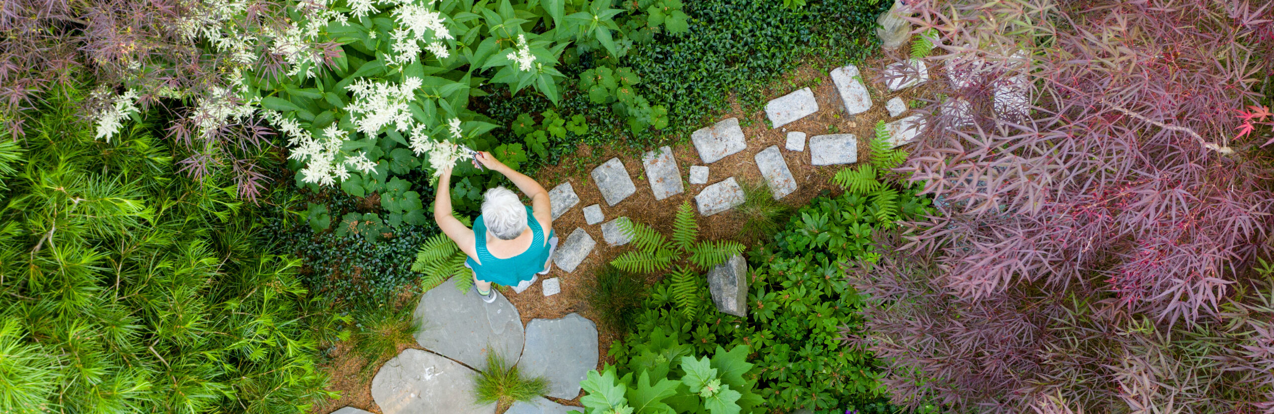 Christie Dustman Garden - Aerial View